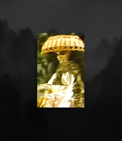 修仇休