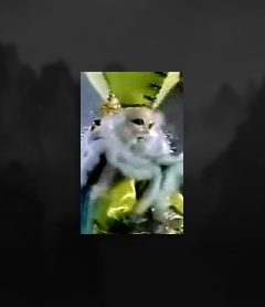 慈航渡