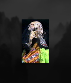 帝王根
