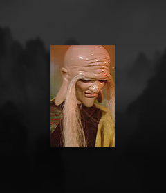 象王長老