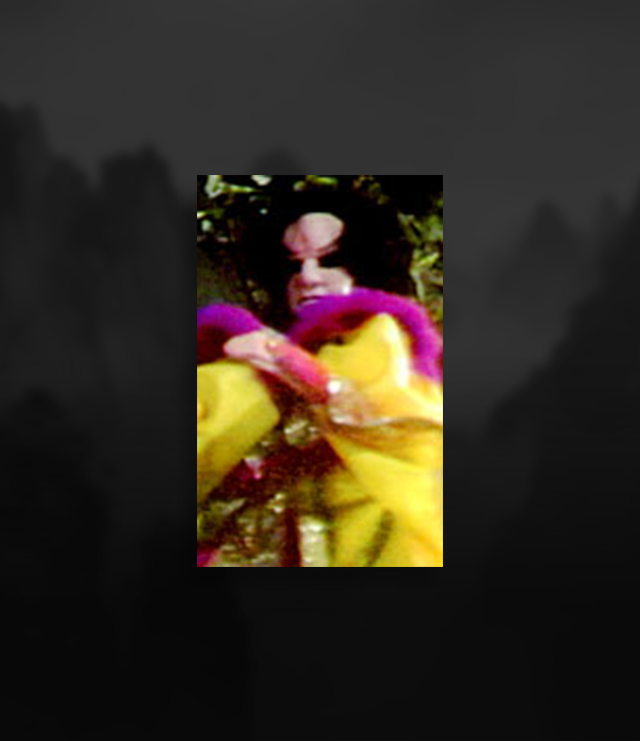 dixiao.jpg