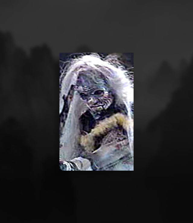 fajen.jpg