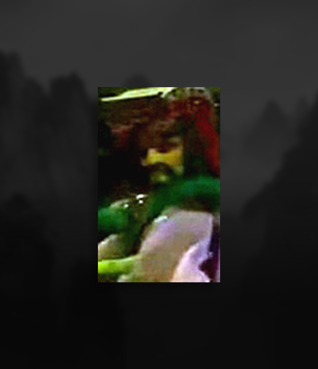 heshizong.jpg