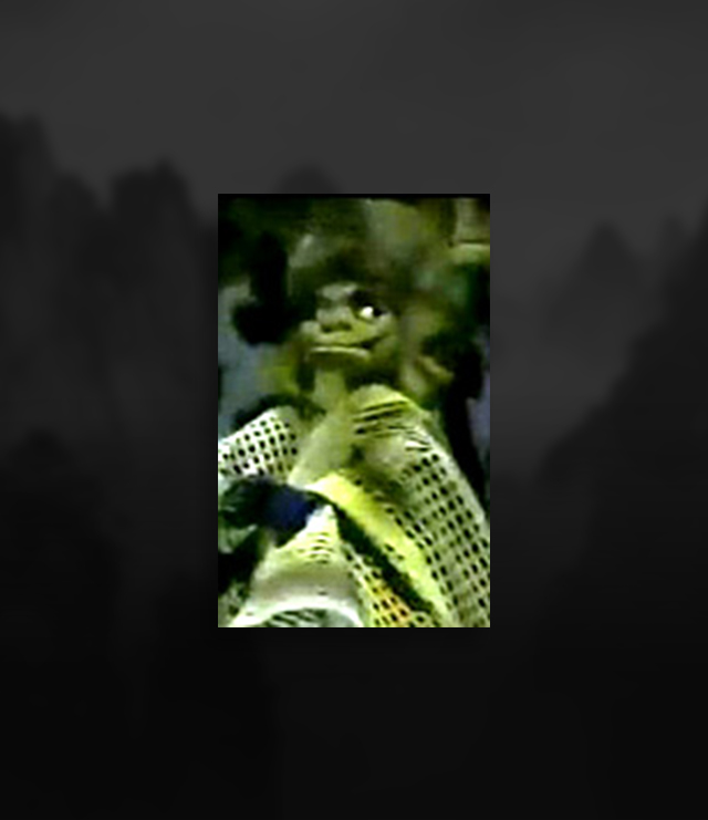 wangnienrong.jpg