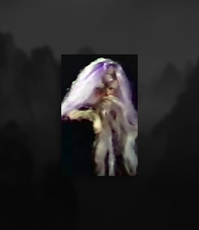 zishubai.jpg